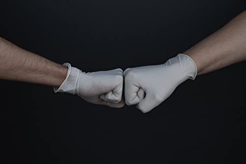 Exam Grade Powder & Latex Free Stretch Vinyl Gloves (Medium)