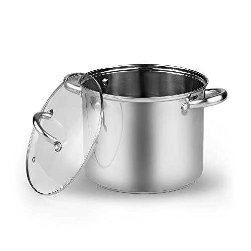 Basics 12 Quart Stainless Steel Stock Pot with Lid (12 Quarts / Silver)