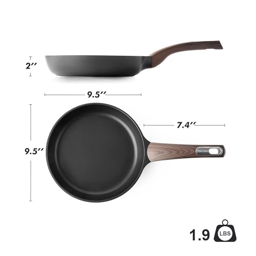 9.5Inch Nonstick Frying Pan Paella Pan (9.5 Inch / DARK Black)