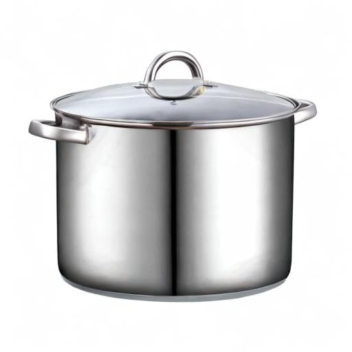 Basics 16 Quart Stainless Steel Stock Pot with Lid (16 Quarts / Silver)