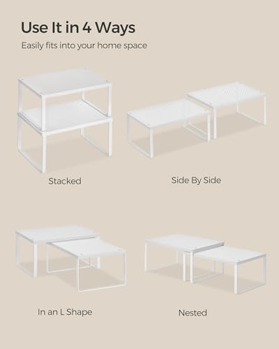 Set of 2 Metal Spice Racks (White / 2 Tiers (9"D x 12.6"W))