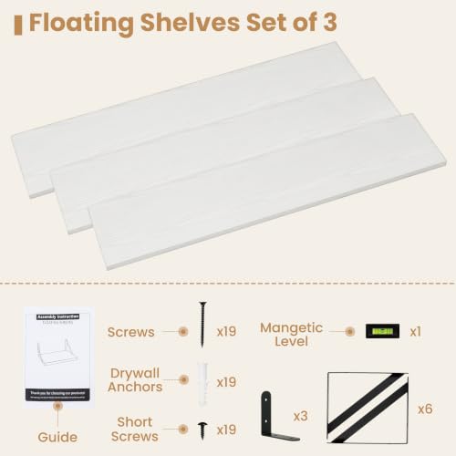 Floating Book Shelves for Wall