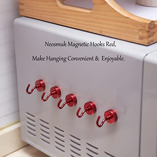 Magnetic Hooks (10 Count)