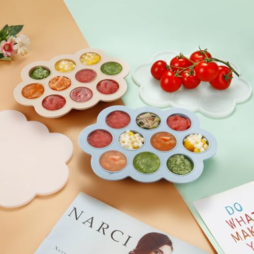 2 Pack Baby Food Freezer Tray with Lids