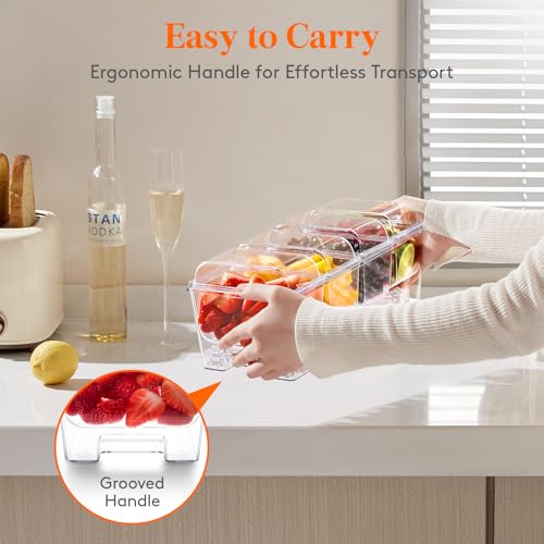 Chilled Condiment Caddy with 4 Compartment & Individual Lids (without Accessories / 4 Containers)