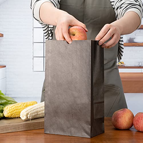 Bag Tek 12lb Paper Bags 100 Disposable Lunch Bags (12 lb / Black)