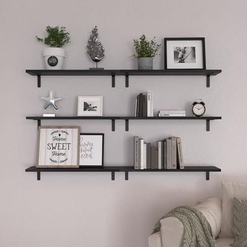 24'' Long Floating Shelves for Wall Decor & Storage (24 Inch / Black)