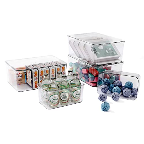 Clear Storage Bins With Lids (3L+2S)
