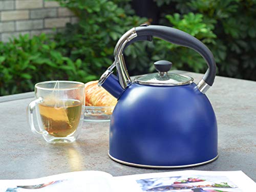 Whistling Tea Kettle for Stove Top (Blue)