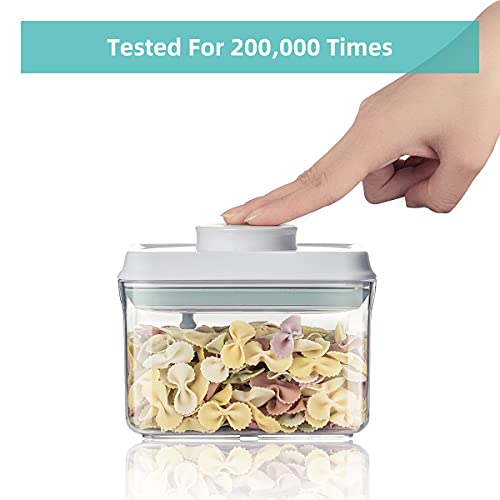 Airtight Food Storage Container (0.32 QT)