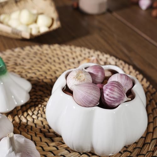 Garlic Keeper for Counter (white)