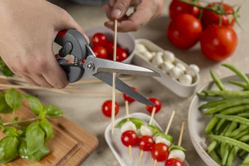 Pro Kitchen Shears (Pro Kitchen Shears)