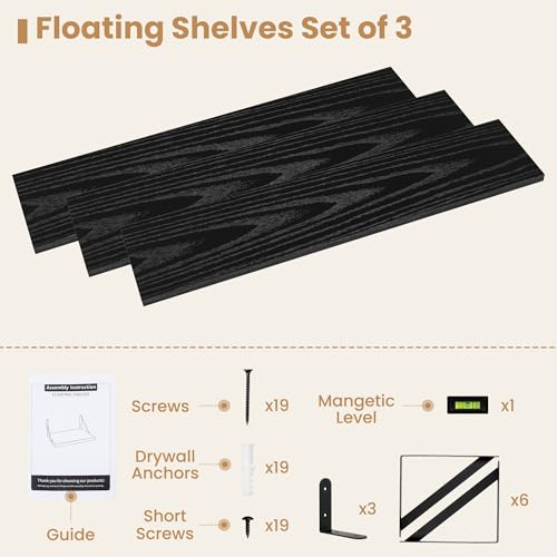 Floating Book Shelves for Wall