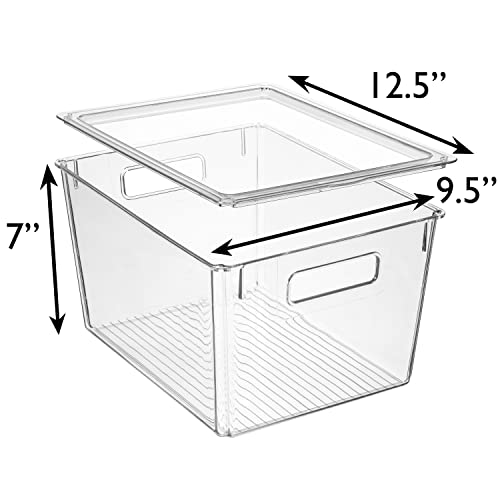 Storage Bin with Lid
