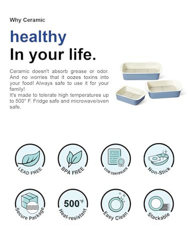 Ceramic Casserole Dishes for Oven with 304 Racks