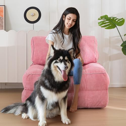 Folding Sofa Bed (Pink / Single)