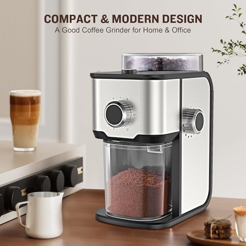 Burr Coffee Grinder (Polished Silver)