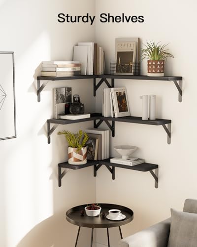 Amada Solid Paulownia Wood Wall Shelves (Black / Medium)