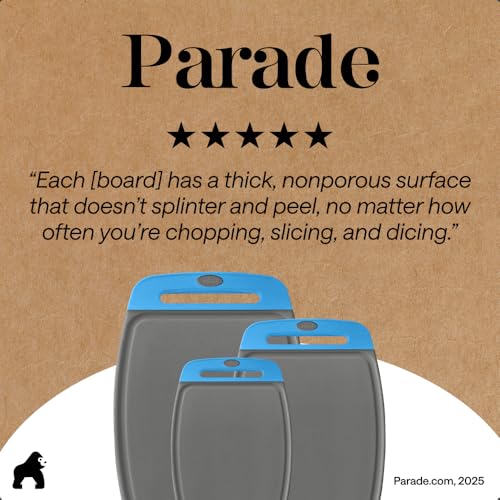 BPA Free Reversible Kitchen Cutting Board (Gray/Aqua / Large (Pack of 3))