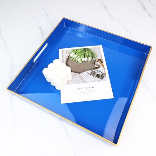 Blue Decorative Tray for Living Room (Bg001r)