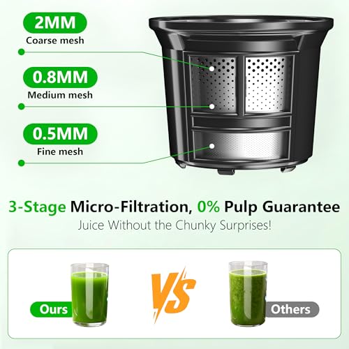 Cold Press Juicer (Silver)