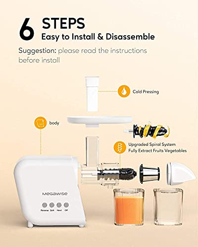 Slow Masticating Juicer