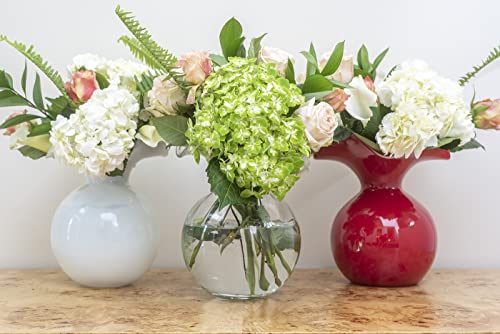 Hibiscus Glass Red Small Fluted Vase (Small / Red)