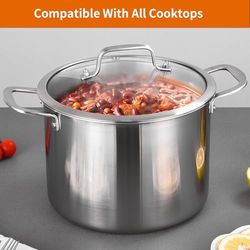 Tri ply Stainless Steel 20 Quart Heavy Duty Induction Stock Pot (Silver / 20 Quarts)