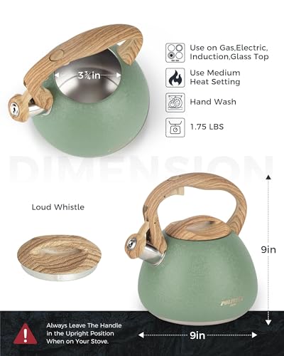 POLIVIAR Tea Kettle (2.7 Quarts / Crackle-Green)