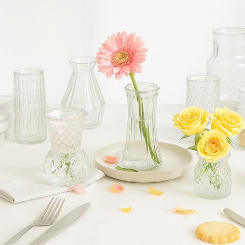 Glass Bud Vase Set of 10 Pcs