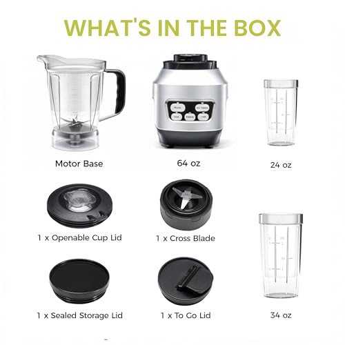 Smoothie Blender (Silver / 1200W)