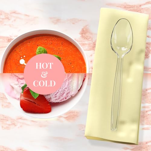 500 Count Clear Plastic Spoons (500ct / Clear)