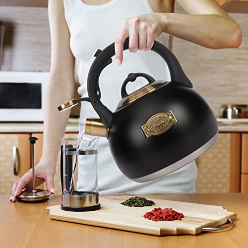 Tea Kettle for Stovetop (Black)