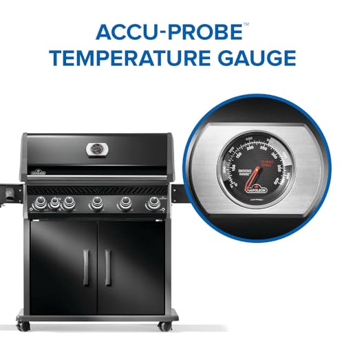 Rogue PRO 625 5 (Black / Rogue PRO 625)
