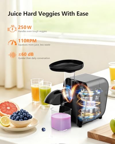 Slow Juicer with Reverse Function (Grey)
