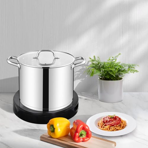 10 Quart Pot with Lid (10 Quarts)