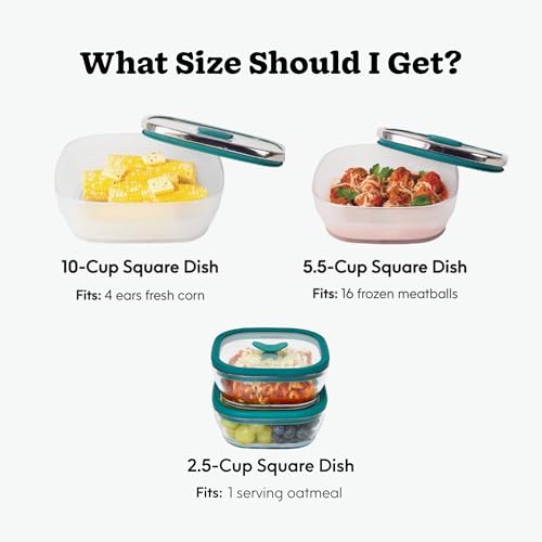 5.5 Cup Glass Food Storage with Lid (Blueberry)