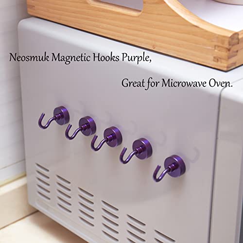 Magnetic Hooks (10 Count)