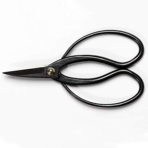 Hanafubuki Wazakura Bonsai Scissors Made in Japan 7inch (Traditional 7")