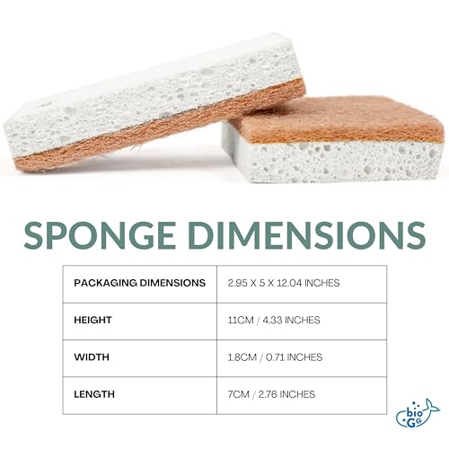 White 12 Pack Biodegradable Kitchen Sponge (12 Count)