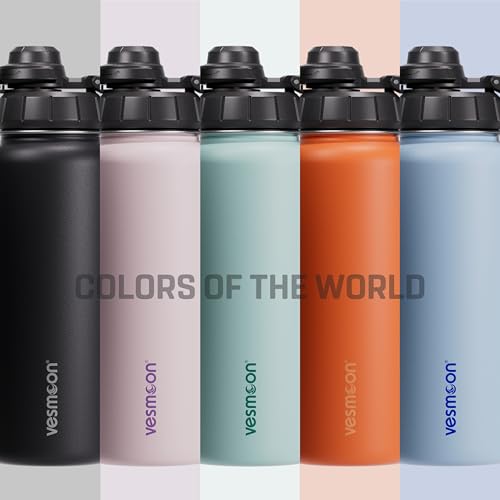 Vessence 32 Oz Stainless Steel Tea Infuser Bottle for Loose Leaf Tea (Reynisfjara Black / 32 Oz)