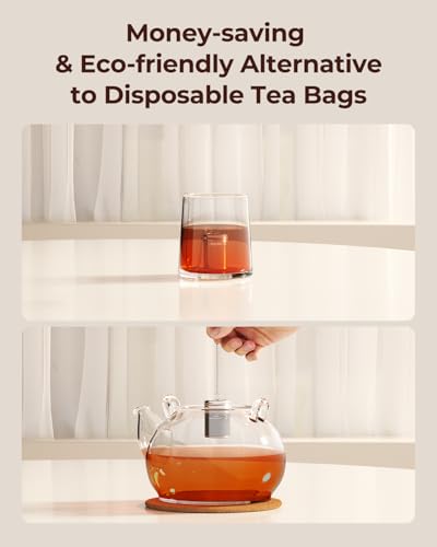 2 Pack Reinmoson 304 Stainless Steel Tea Infuser for Loose Leaf Tea (Small)
