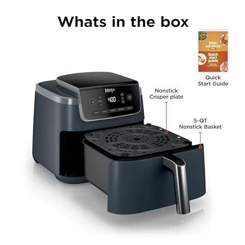 Air Fryer Pro (Cyberspace)