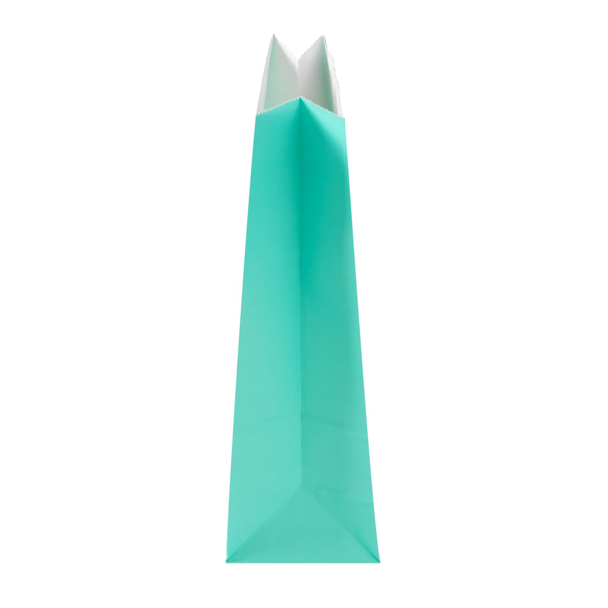 Turquoise Paper Bag (4 lb / Turquoise)