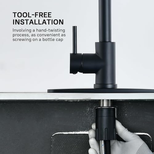 Pull Down Kitchen Faucet (Matte Black)