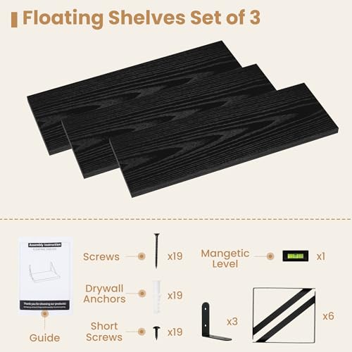 Floating Book Shelves for Wall