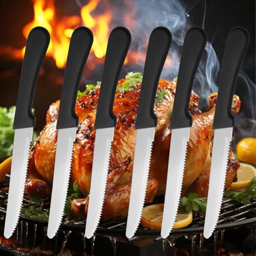 36 PCS Steak Knife Set (36PCS Steak Knife)