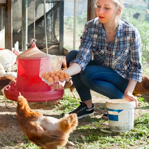 60Pack Duck Egg Cartons Cheap Bulk 1 Dozen Jumbo Egg Cartons (60Pack-3x4Grids)