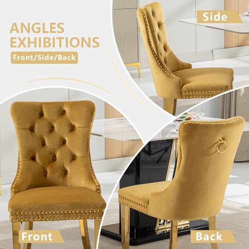 Gold Velvet Dining Chairs Set of 2 (Gold)