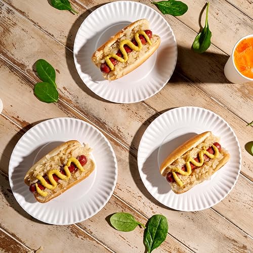 500 Uncoated Paper Plates 9 Inch (9 Inch)